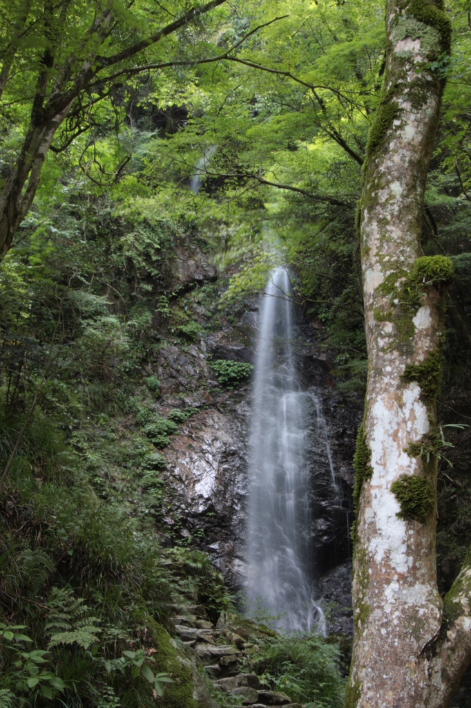 払沢の滝