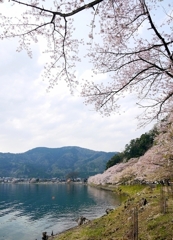 海津大崎にて