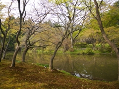 京都府立植物園にて
