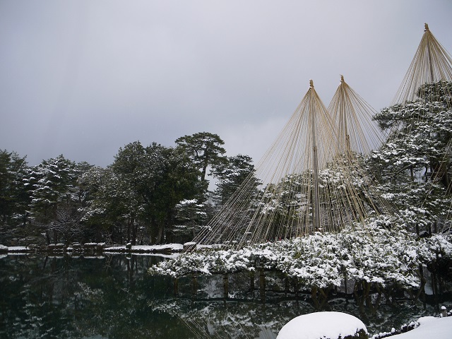 兼六園　雪吊り