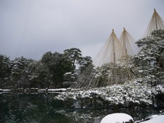 兼六園　雪吊り