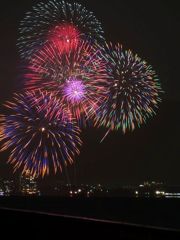 2014 びわ湖大花火大会