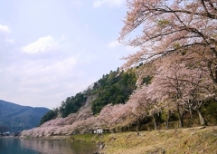 海津大崎にて
