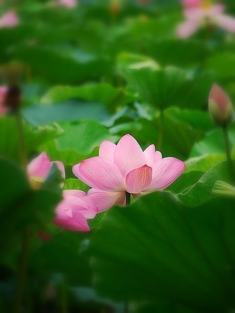 烏丸半島にて