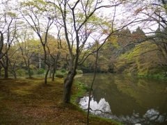 京都府立植物園にて