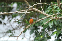 上を向いて、何を思う・・・