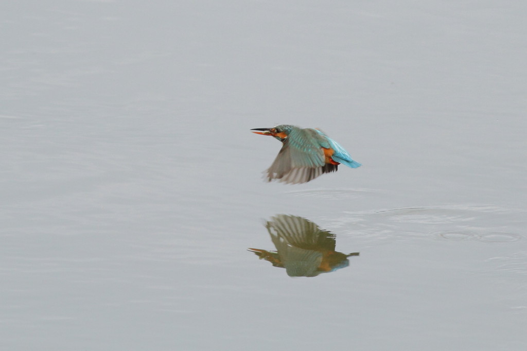 水鏡