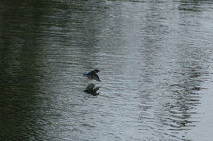 通過するだけ!?