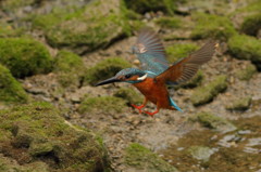 Landing