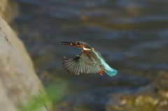 7D mark Ⅱの実力　2