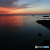 Twilight 2