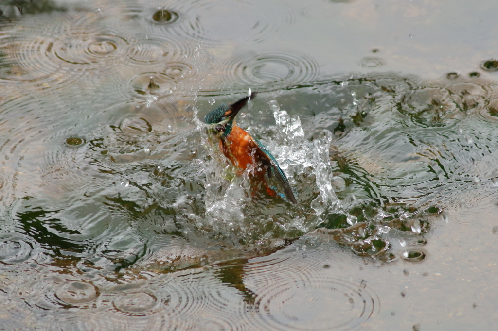 水切り