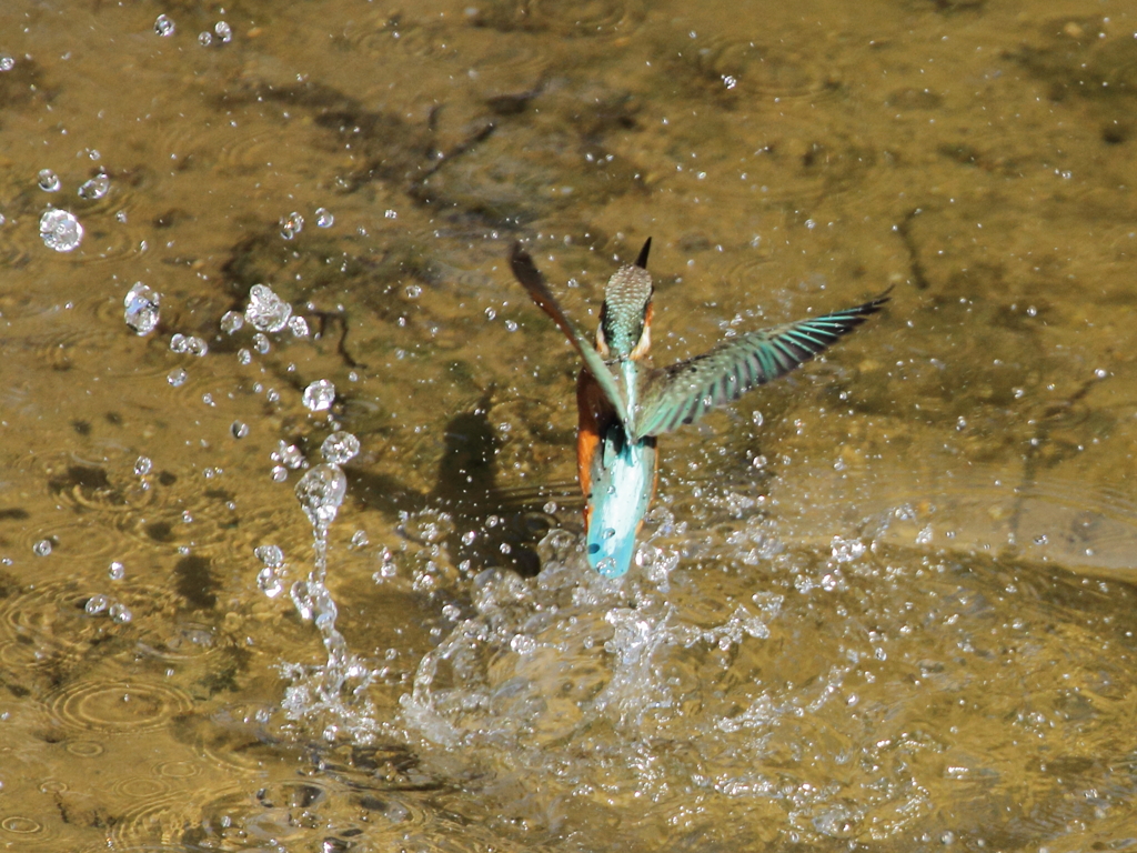 明けましておめでとう!!
