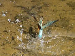 明けましておめでとう!!