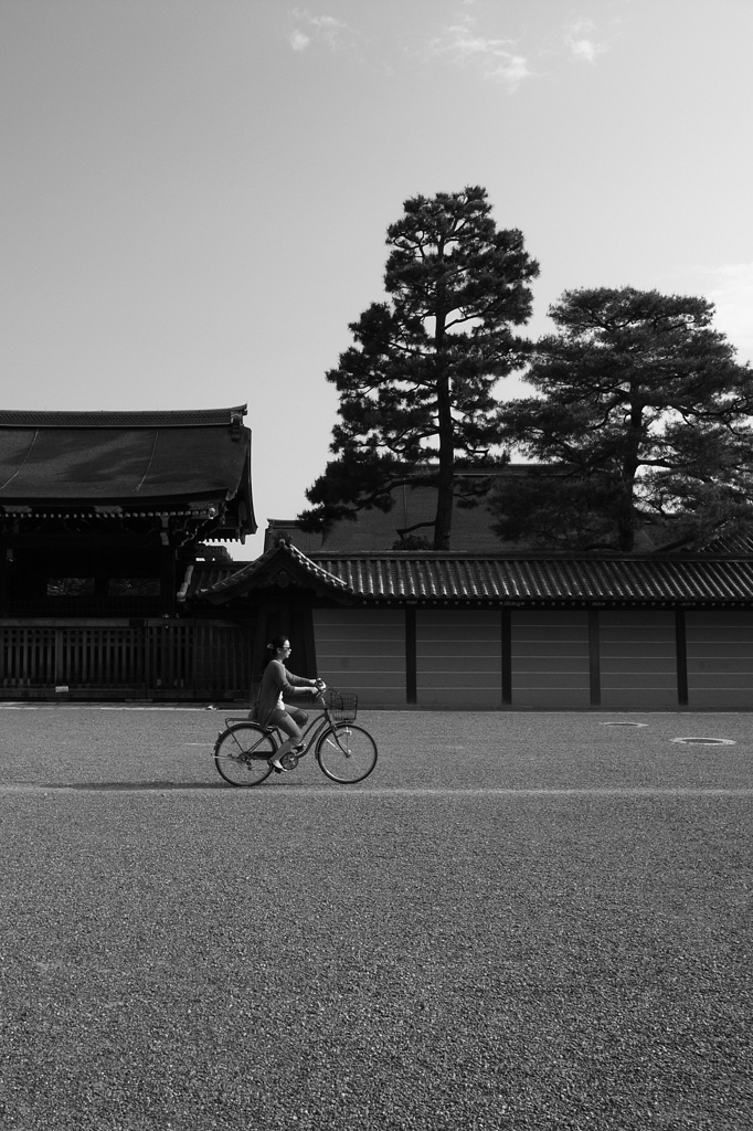 平成24年のサイクリング