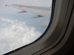 P8020483