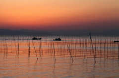 暁の有明海