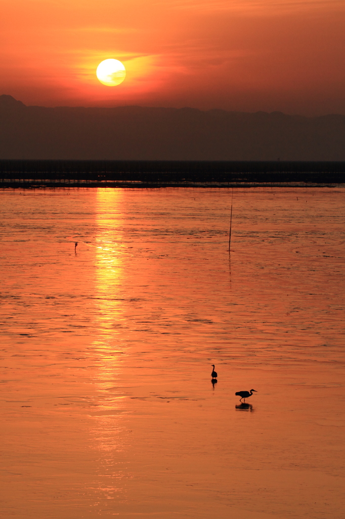 干潟の夕暮れ