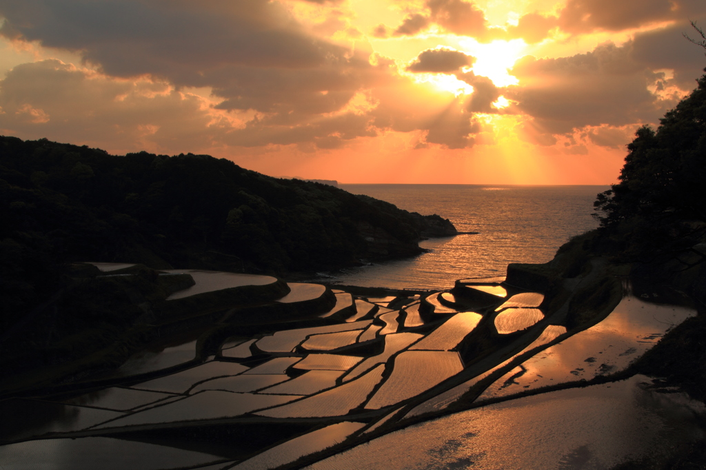 棚田の夕暮れ(1)