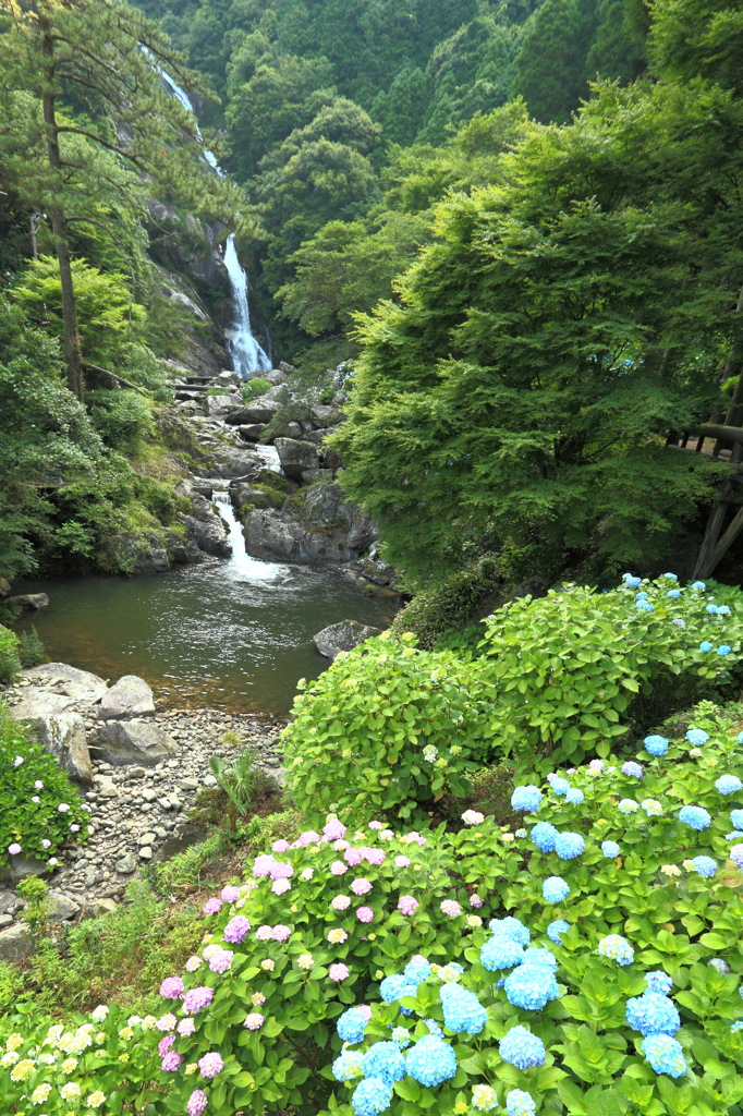 初夏の見返りの滝