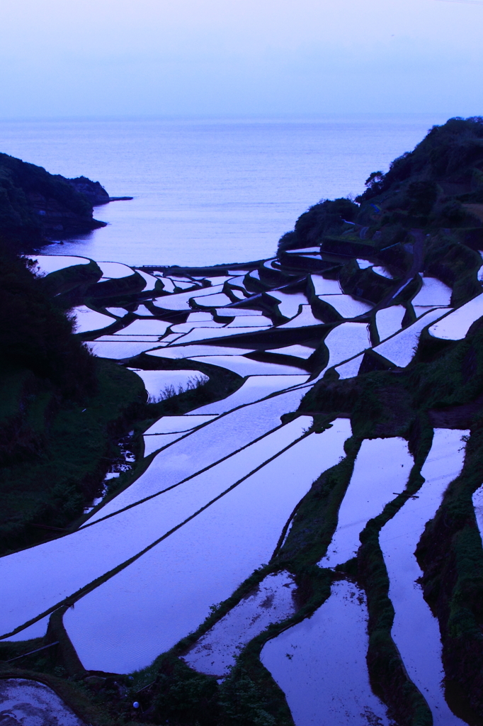 棚田の夕暮れ(2)