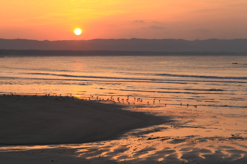 夕日に染まる