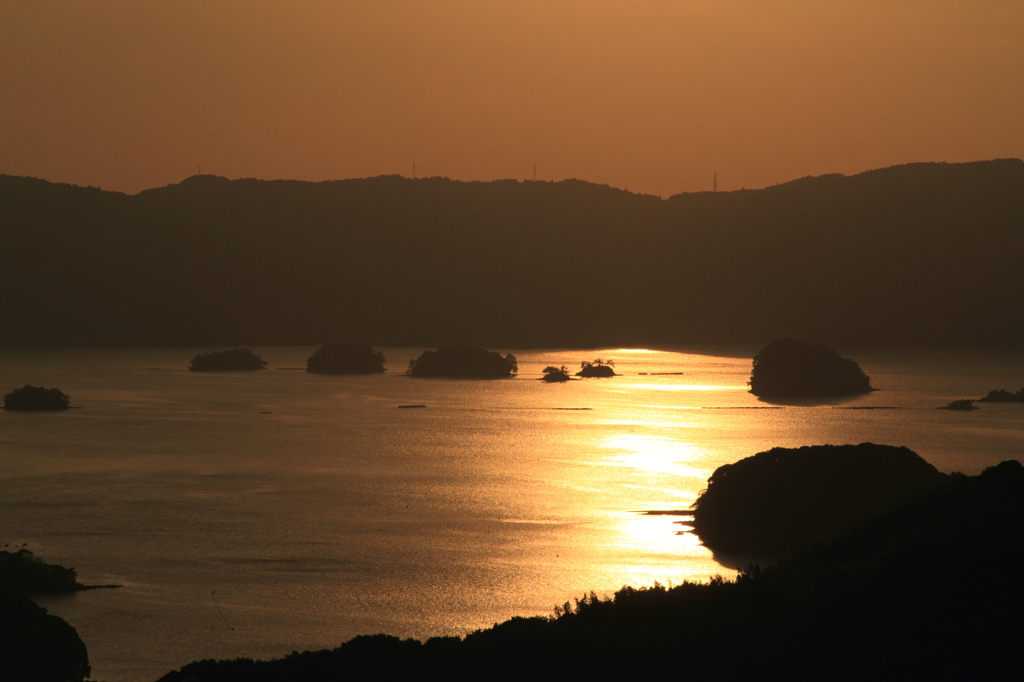 黄金色の海