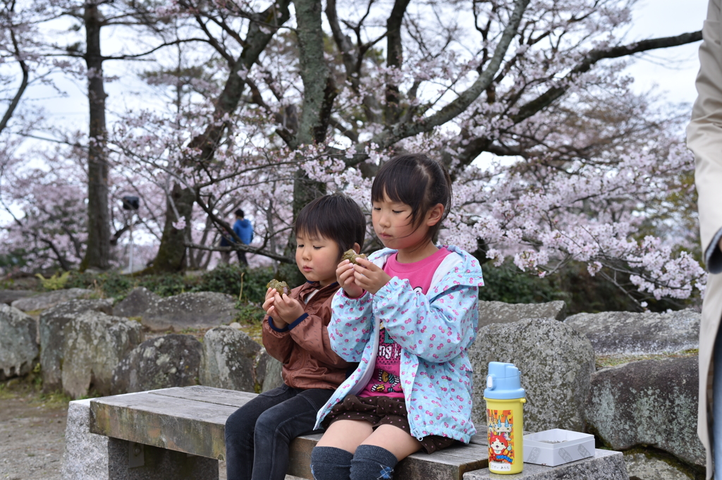 花より団子