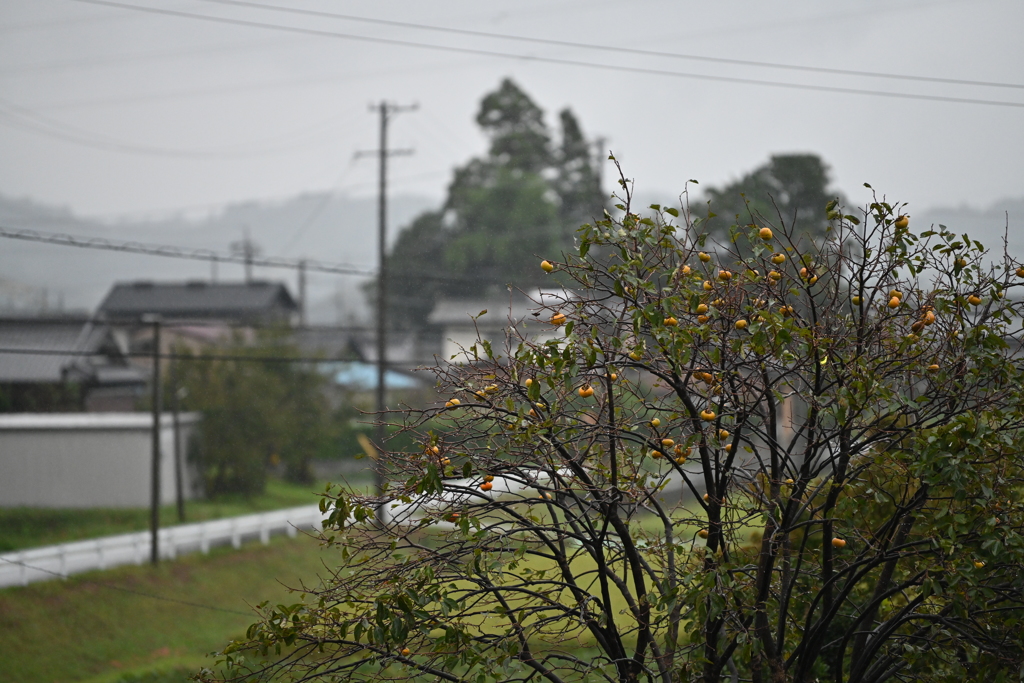 台風24号接近中