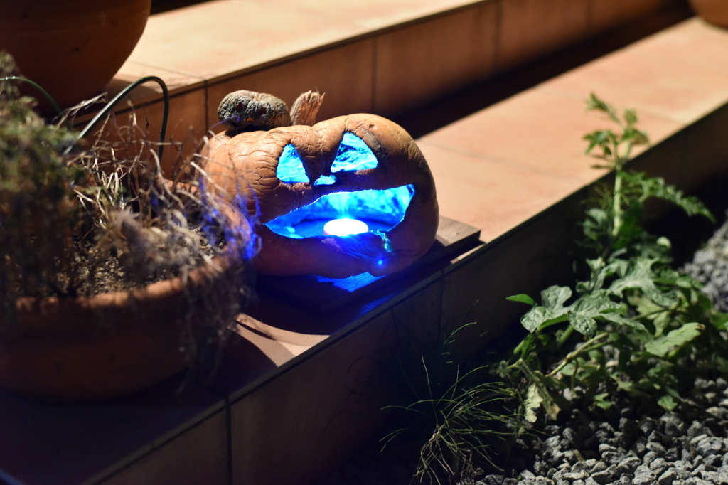 Hallowe'en　 evening