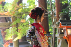 後ろ美人
