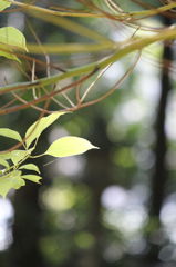16623758_1769597583_89large