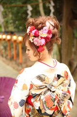 帯の華