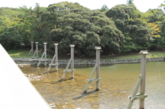 内宮 木よけ杭
