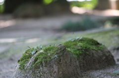 16623758_1769596851_113large
