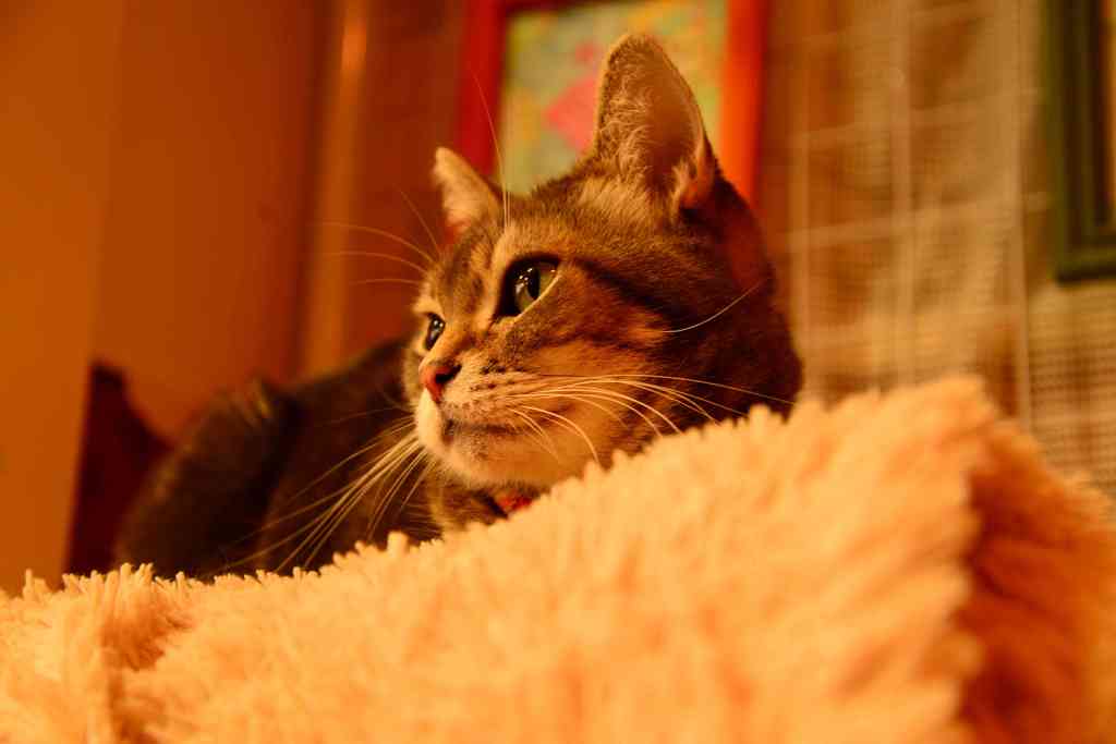DSC_0830_013