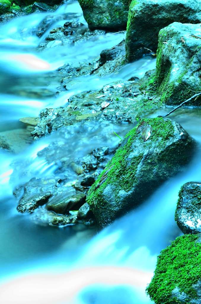 岩に苔　水に命