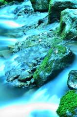 岩に苔　水に命