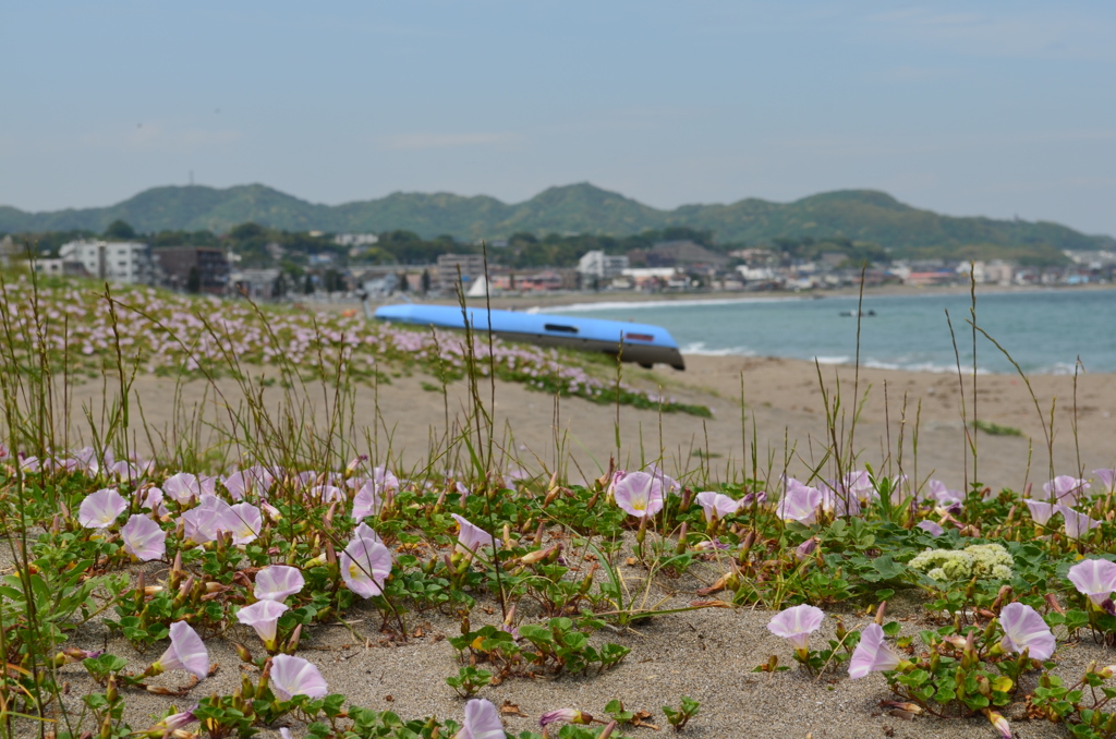 地に足付けて逞しく