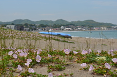 地に足付けて逞しく