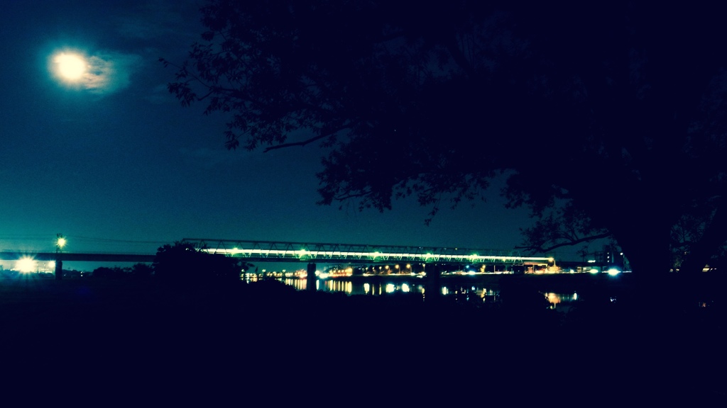 Tokyo River #4
