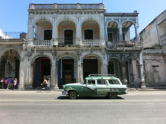 Reina Street