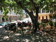 グリーンルーフ