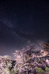 桜と天の川