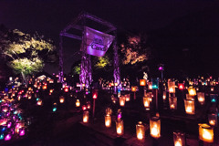 湘南キャンドル2025Ⅷ