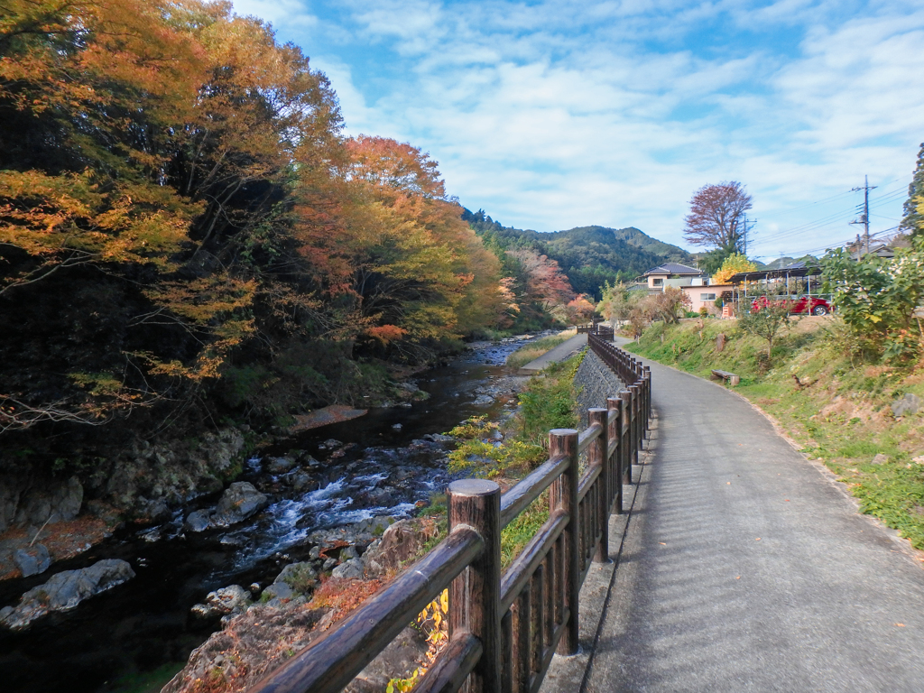 紅葉の河畔