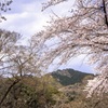 桜のむこうの日和田山