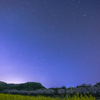 星と桜と菜の花と