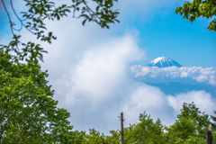 新緑と青空と富士山と