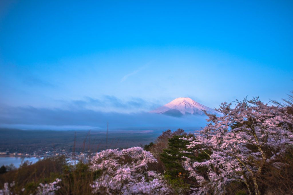 富士と桜